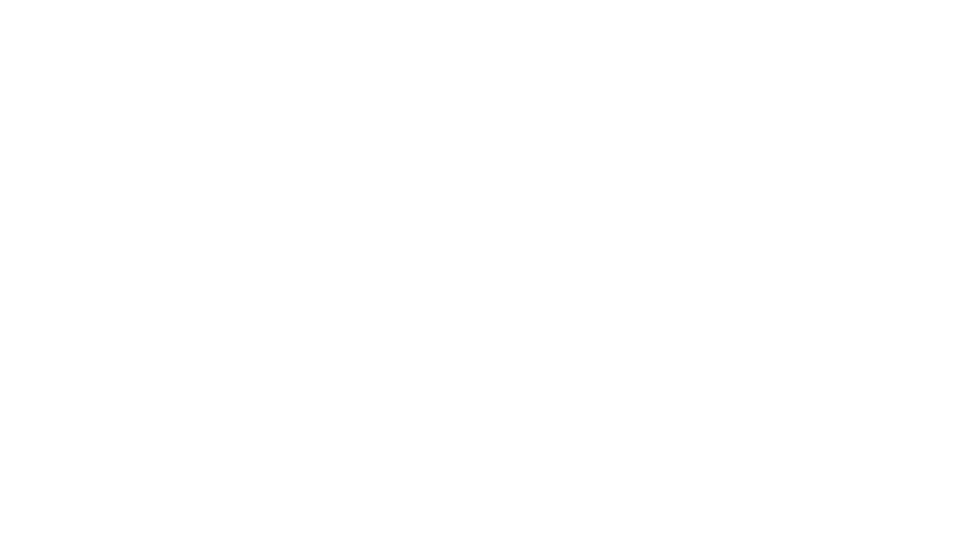 Vizion-manu-shapvedio
